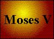 Kapitel 12 - Moses V